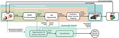 Automated Instability Detection for Interactive Myocontrol of Prosthetic Hands